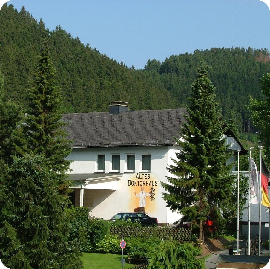 Altes Doktorhaus - Hotel Garni Willingen  Exterior photo