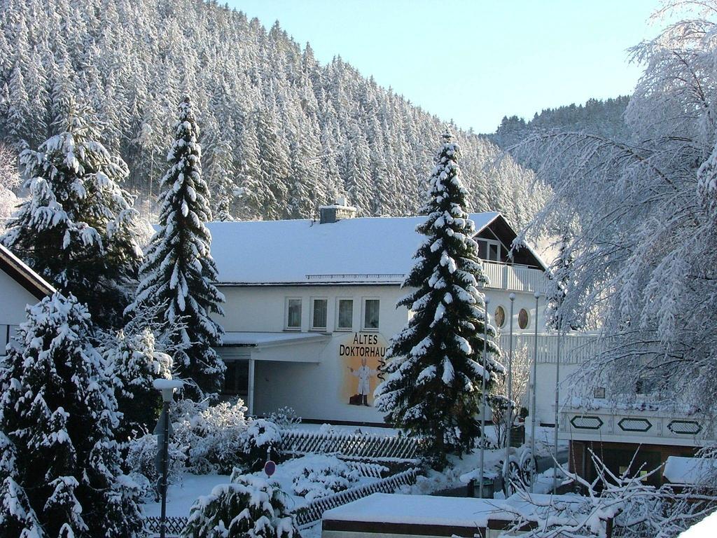 Altes Doktorhaus - Hotel Garni Willingen  Exterior photo